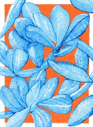 Vibrant Botanical Pop