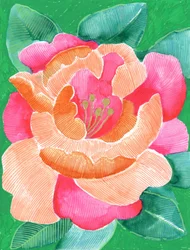 Vibrant Floral Bloom
