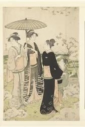 Admiring Cherry Blossoms at Asukayama