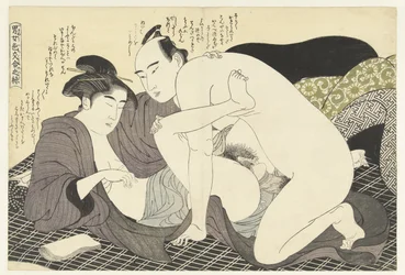Young Man and Woman Making Love (Fashionable Ways of Seduction)