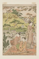 Viewing Autumn Leaves at Kaianji Temple