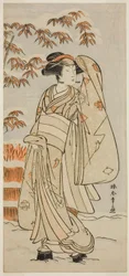 The Actor Segawa Kikunojo III in an Unidentified Role