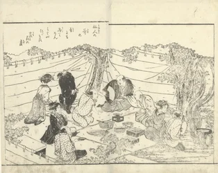 Company Under a Cherry Tree