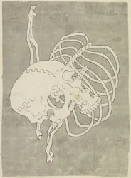 Skull and Ribcage