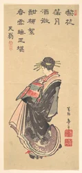 A Courtesan on Parade, Dressed in Many Robes