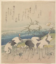 Ashi Clam, from the series "Genroku Kasen Kai-awase"