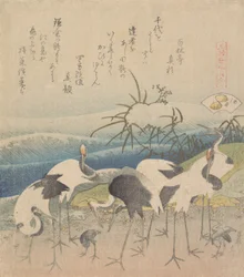Ashi Clam, from the Series Genroku Kasen Kai-awase