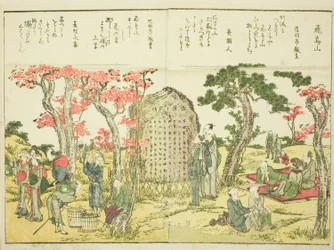 Asuka Hill, from vol. 1 of the illustrated book "Fine Views of the Eastern Capital at a Glance"