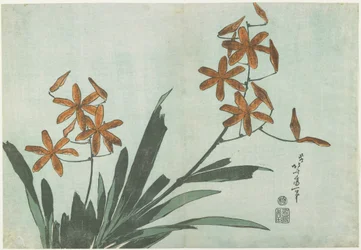 Blackberry Lilies, c. 1832