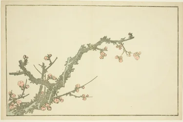 Blooming Plum Tree, from The Picture Book of Realistic Paintings of Hokusai