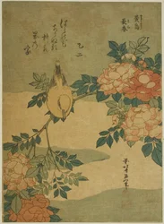 Bush Warbler and Rose, from an untitled series of flowers and birds