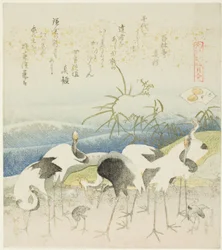 Cranes by the Shore, Illustration for The Leg Shell, from the series 