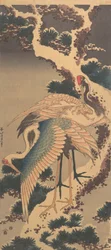 Cranes on Branch of Snow-covered Pine