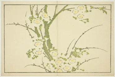 Flowers, from The Picture Book of Realistic Paintings of Hokusai
