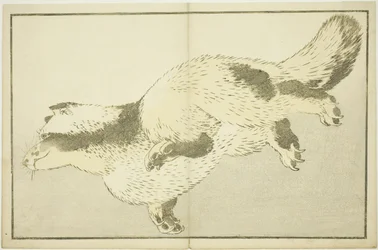 Fox, from The Picture Book of Realistic Paintings of Hokusai