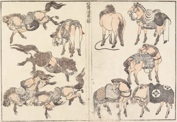 Horses