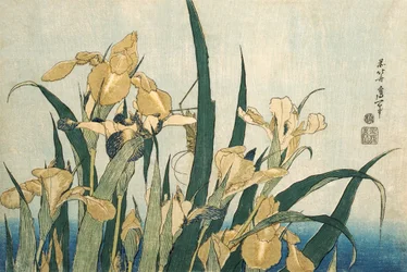Irises with a Grasshopper, published 1830