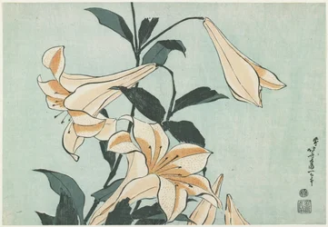 Lilies, c. 1832