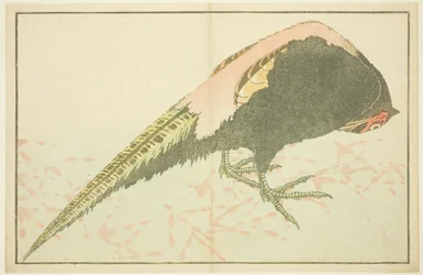 Male Pheasant, from The Picture Book of Realistic Paintings of Hokusai