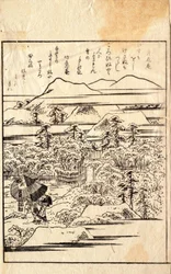 Moonflowers in Snow, from a Kyōka Poetry Album