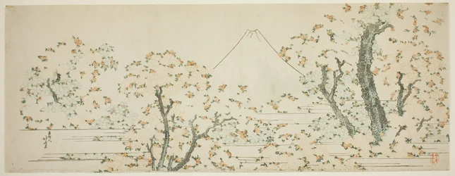 Mount Fuji with Cherry Trees in Bloom