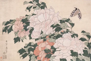 Pink and Red Peonies Blown to the Left in a Breeze and a Butterfly