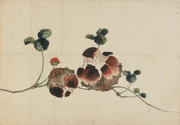 Pomegranates, late 18th-early 19th century