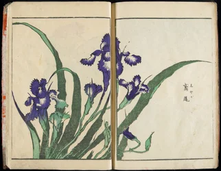 Transmitting the Spirit and Revealing the Form of Things: Hokusai