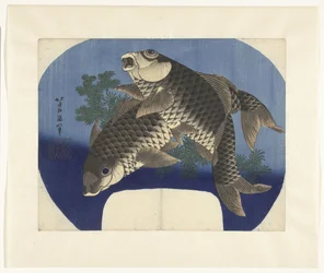 Two Carp