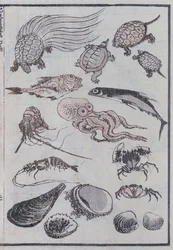 Undersea creatures, from a Manga