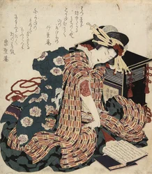 Woman Reading a Book