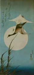 Two Wild Geese