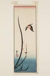 Butterfly and Grass