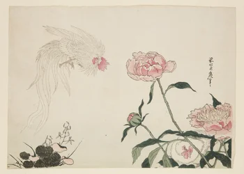 Long-Tailed Roosters among Flowers