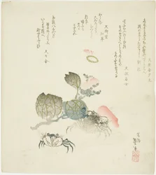 Two Crabs by a Spray of Camellia