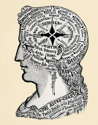 A Chart of the Human Head and Shoulders