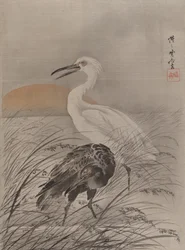 Cranes in Marsh, ca. 1887
