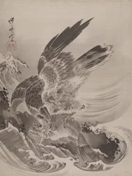 Eagle Attacking Fish