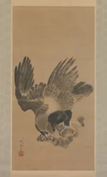 Eagle Attacking a Monkey