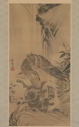 Eagle Attacking a Mountain Lion
