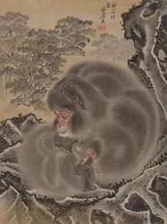 Monkeys