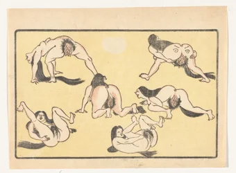 Naked Women The Great Tail (series title)