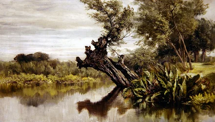The Willow Tree
