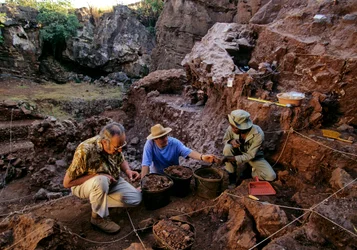 Drimolean Site, near Johannesburg, South Africa, 2 million year old hominid
