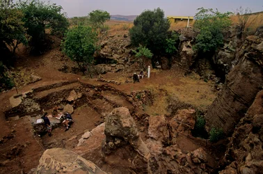 Drimolean Site, near Johannesburg, South Africa, 2 million year old hominid