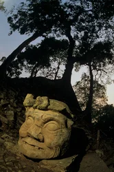 God N, Ceiba tree, temple, Maya, Copan, Honduras, Classic period