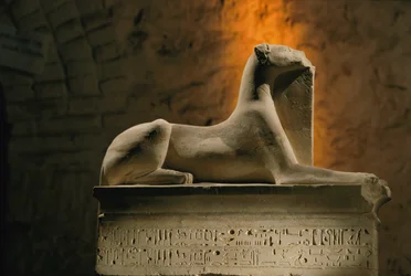 Limestone statue of the jackal god Anubis crouched on a base shaped like a sarcophagus