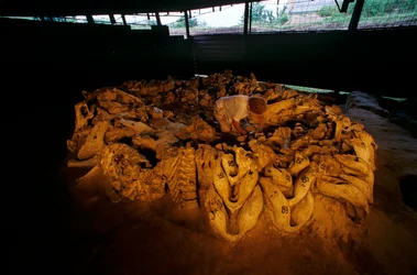Mammoth jawbones from a bone hut, Mezhirich, Ukraine