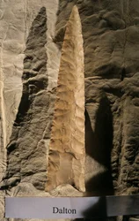 Peopling the Americas, Dalton Point, Dennis Stanford, Smithsonian tool collection, 2008