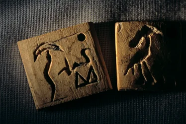 Predynastic ivory label, earliest writing, Dr. Gunter Dreyer, Egypt